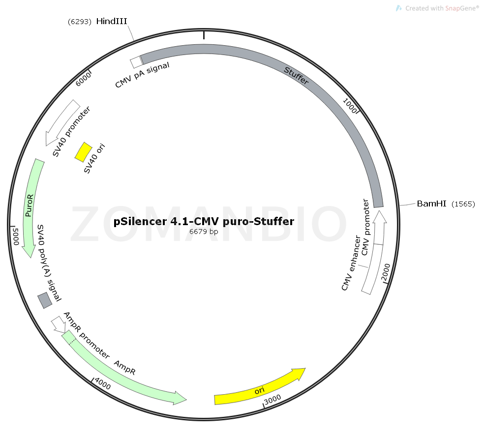 ZK1832 pSilencer 4.1-CMV puro-Stuffer.png