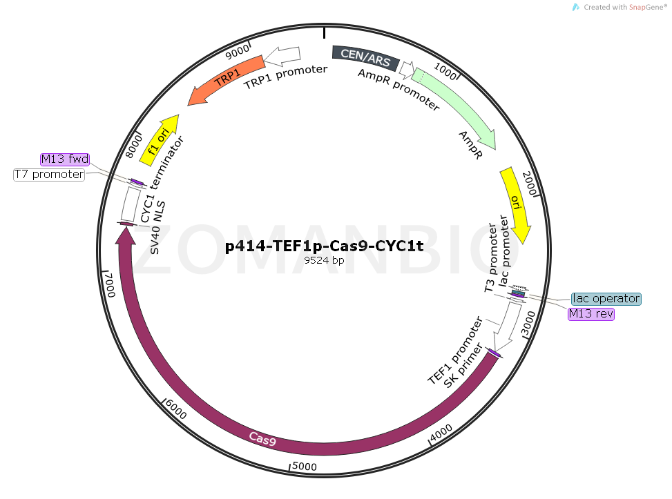 ZK1861 p414-TEF1p-Cas9-CYC1t.png
