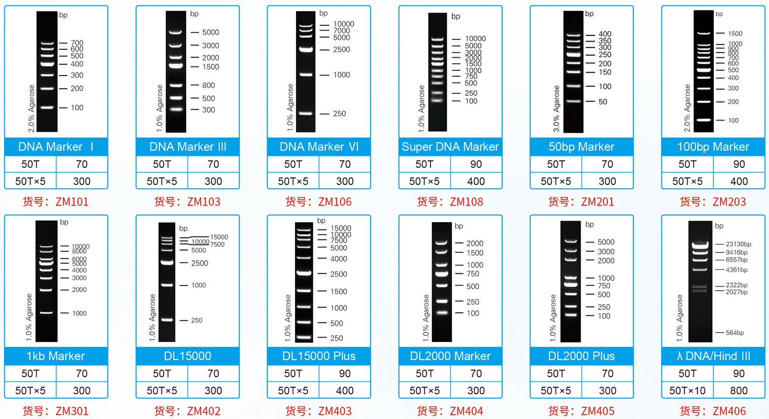 2020.9 Marker促銷.jpg