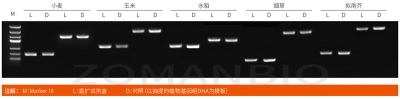 22.9.29 植物直擴圖.jpg