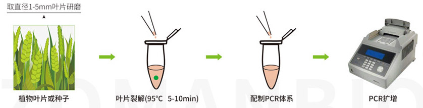22.9.29 植物擴增圖2.jpg
