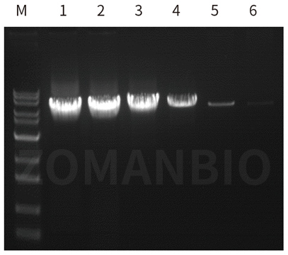 23.2.24 ZT213圖4.jpg
