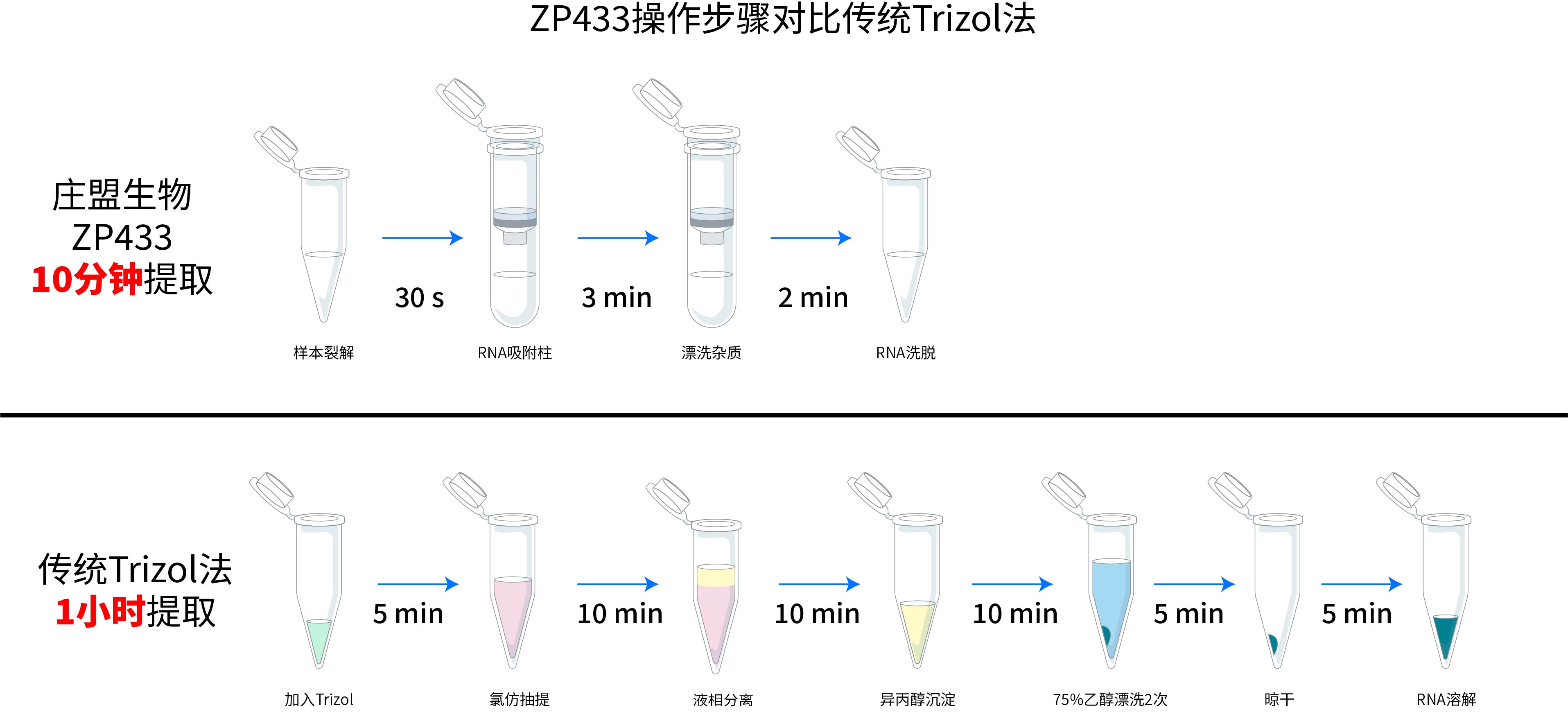 ZP441實驗步驟與Trizol對比-02.jpg