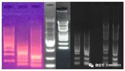 22.6效果圖痛點1圖.jpg 圖片